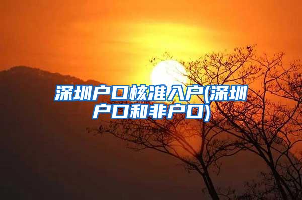 深圳户口核准入户(深圳户口和非户口)