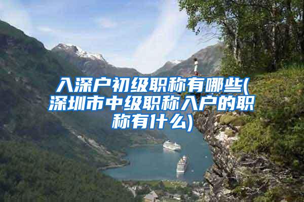 入深户初级职称有哪些(深圳市中级职称入户的职称有什么)