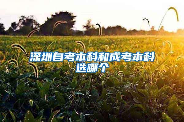 深圳自考本科和成考本科选哪个