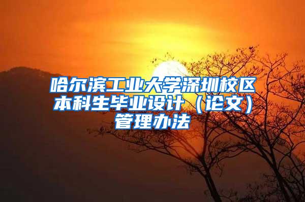 哈尔滨工业大学深圳校区本科生毕业设计（论文）管理办法