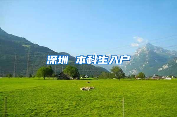 深圳 本科生入户