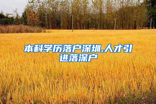 本科学历落户深圳,人才引进落深户