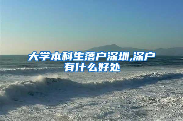 大学本科生落户深圳,深户有什么好处