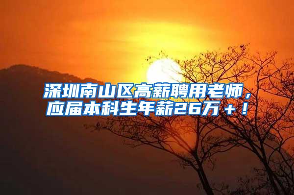 深圳南山区高薪聘用老师，应届本科生年薪26万＋！
