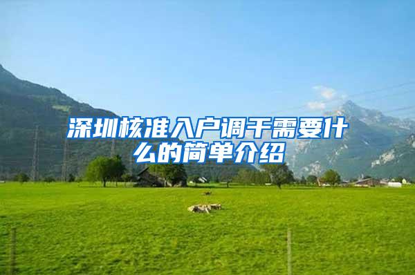 深圳核准入户调干需要什么的简单介绍