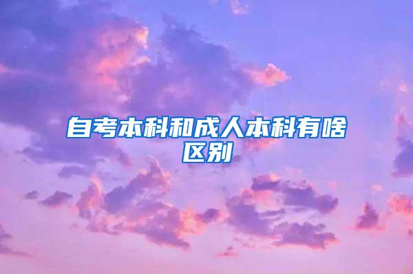 自考本科和成人本科有啥区别
