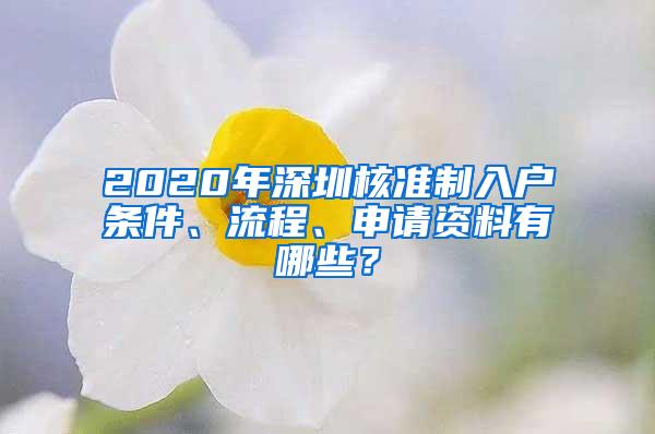 2020年深圳核准制入户条件、流程、申请资料有哪些？