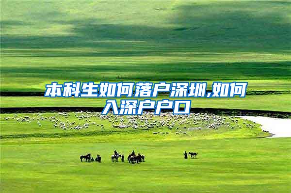 本科生如何落户深圳,如何入深户户口