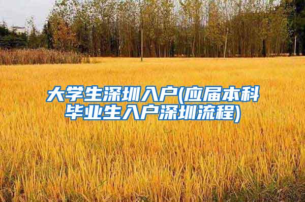 大学生深圳入户(应届本科毕业生入户深圳流程)