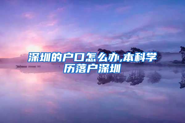 深圳的户口怎么办,本科学历落户深圳