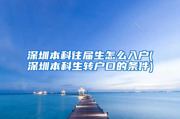深圳本科往届生怎么入户(深圳本科生转户口的条件)