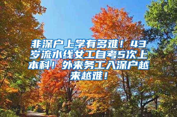 非深户上学有多难！43岁流水线女工自考5次上本科！外来务工入深户越来越难！