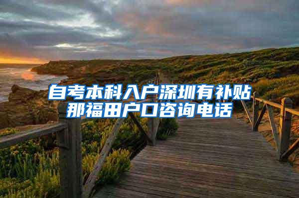 自考本科入户深圳有补贴那福田户口咨询电话