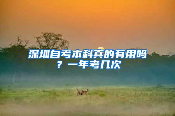 深圳自考本科真的有用吗？一年考几次
