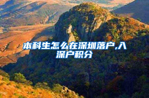本科生怎么在深圳落户,入深户积分