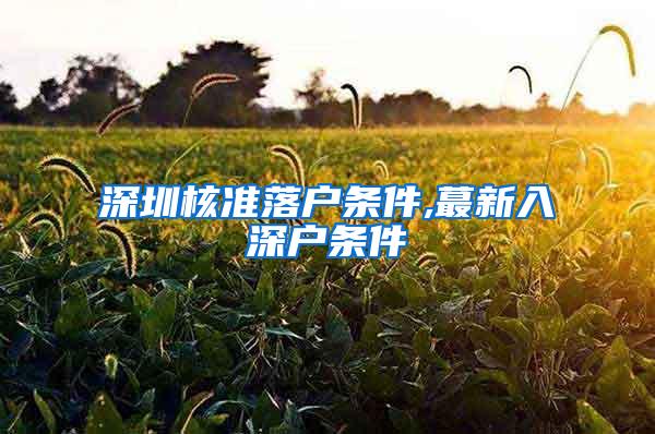 深圳核准落户条件,蕞新入深户条件