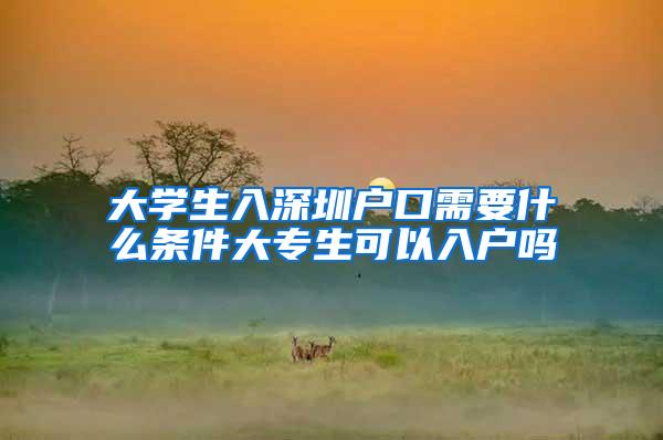 大学生入深圳户口需要什么条件大专生可以入户吗