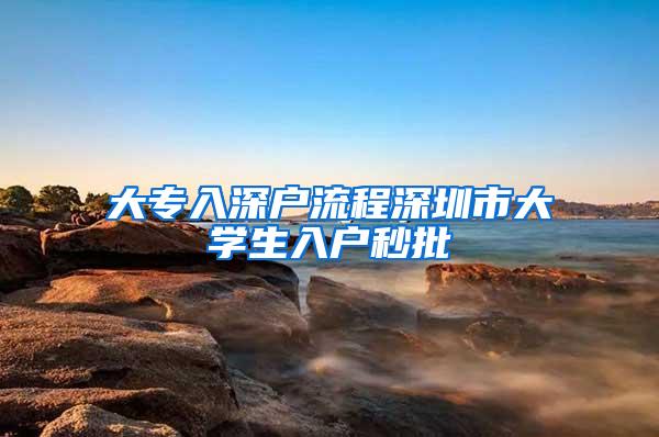 大专入深户流程深圳市大学生入户秒批