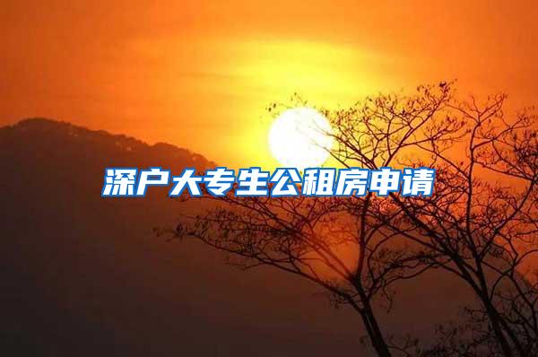 深户大专生公租房申请