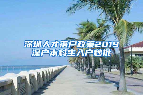 深圳人才落户政策2019深户本科生入户秒批