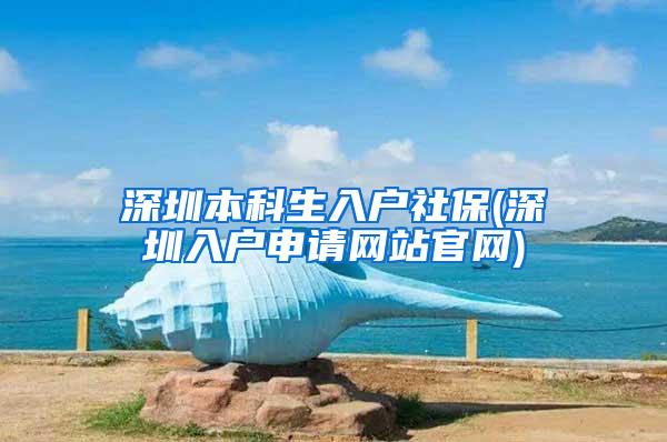 深圳本科生入户社保(深圳入户申请网站官网)