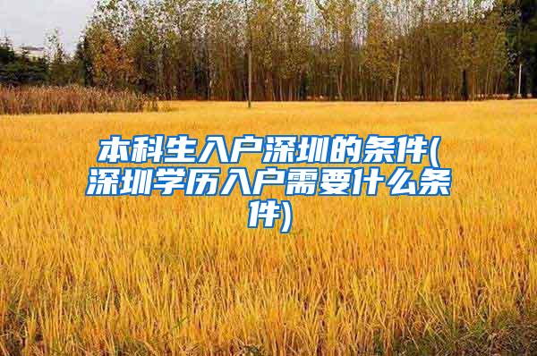 本科生入户深圳的条件(深圳学历入户需要什么条件)