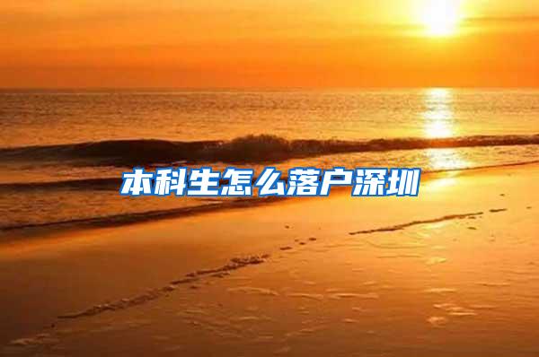 本科生怎么落户深圳