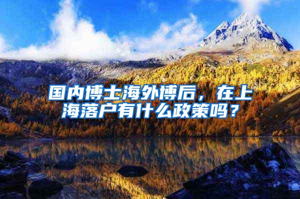 国内博士海外博后，在上海落户有什么政策吗？