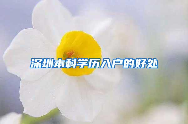 深圳本科学历入户的好处