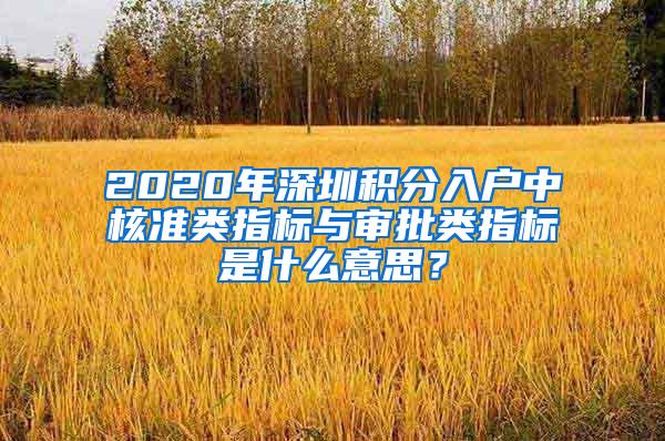 2020年深圳积分入户中核准类指标与审批类指标是什么意思？