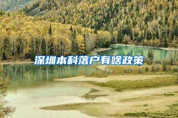 深圳本科落户有啥政策