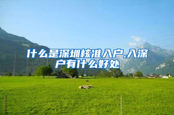 什么是深圳核准入户,入深户有什么好处