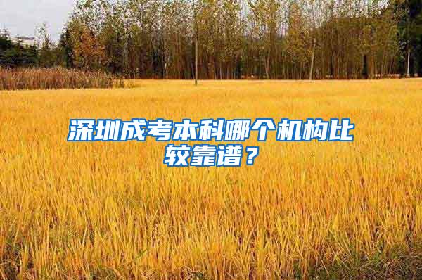 深圳成考本科哪个机构比较靠谱？