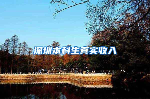 深圳本科生真实收入