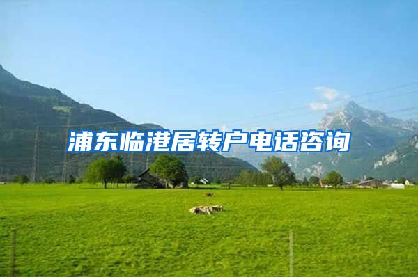 浦东临港居转户电话咨询