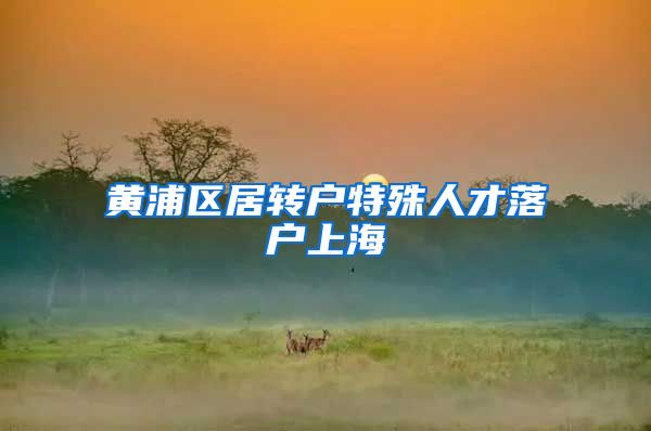 黄浦区居转户特殊人才落户上海