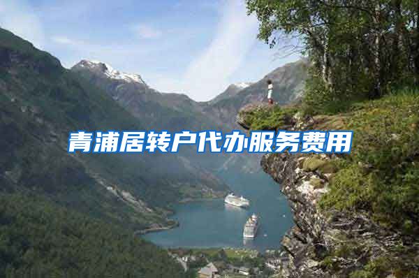 青浦居转户代办服务费用