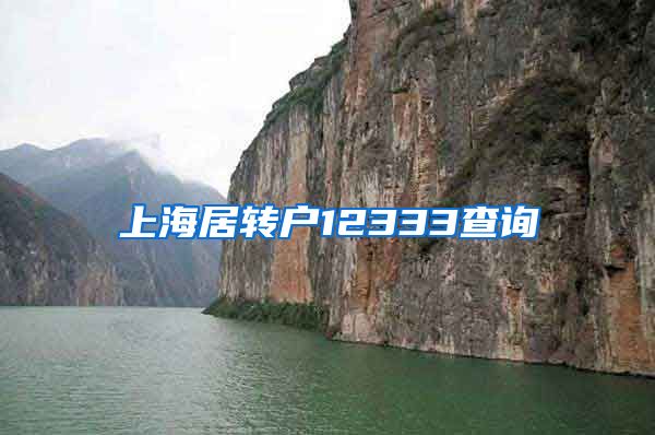 上海居转户12333查询