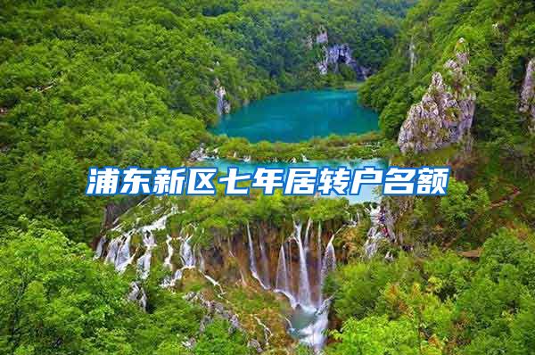 浦东新区七年居转户名额