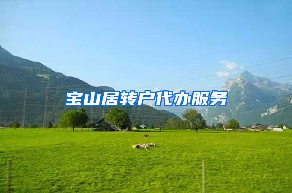 宝山居转户代办服务