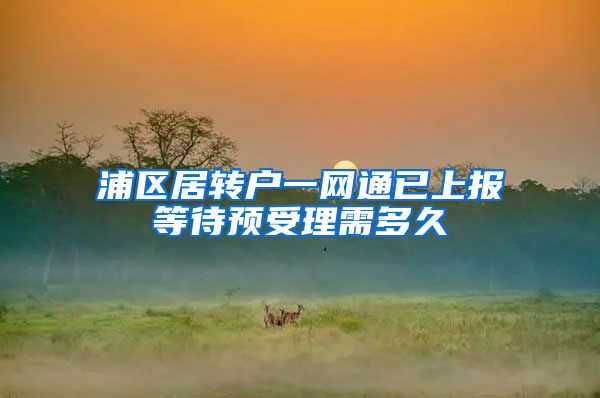 浦区居转户一网通已上报等待预受理需多久