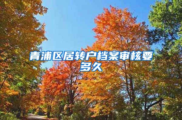 青浦区居转户档案审核要多久