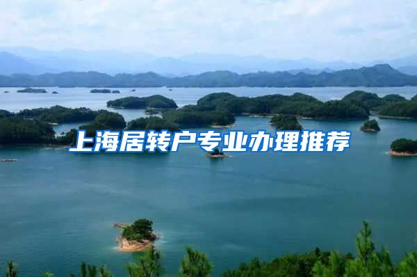 上海居转户专业办理推荐