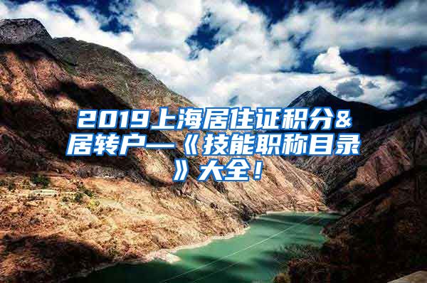 2019上海居住证积分&居转户—《技能职称目录》大全！