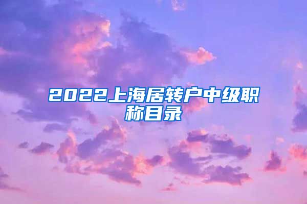2022上海居转户中级职称目录