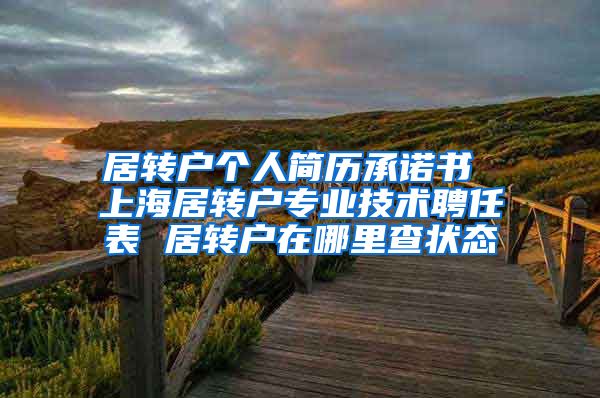 居转户个人简历承诺书 上海居转户专业技术聘任表 居转户在哪里查状态