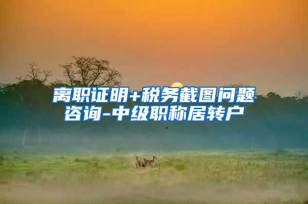 离职证明+税务截图问题咨询-中级职称居转户