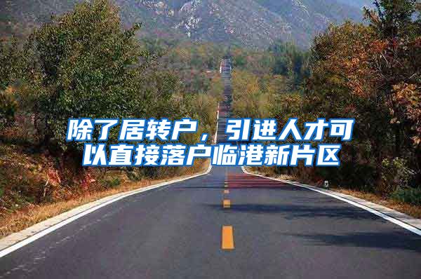 除了居转户，引进人才可以直接落户临港新片区