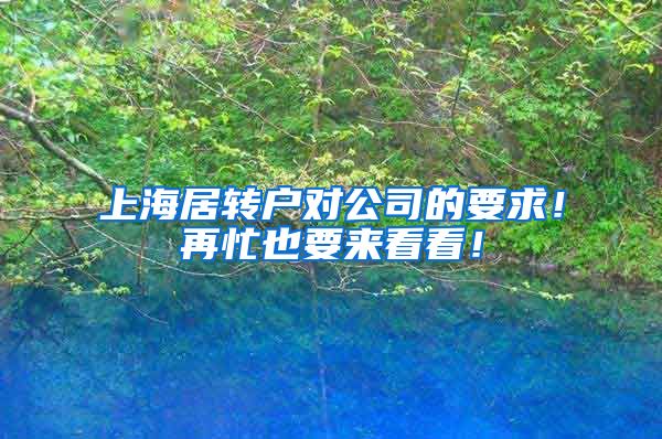 上海居转户对公司的要求！再忙也要来看看！