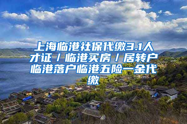 上海临港社保代缴3.1人才证／临港买房／居转户临港落户临港五险一金代缴